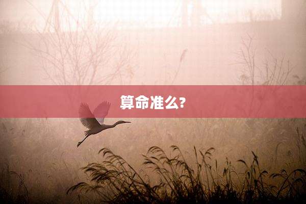 算命准么?
