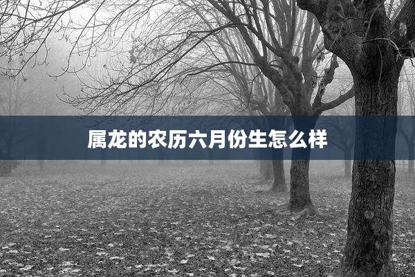 属龙的农历六月份生怎么样