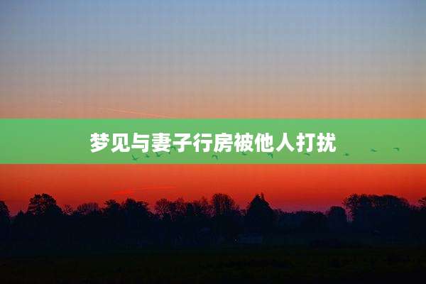 梦见与妻子行房被他人打扰