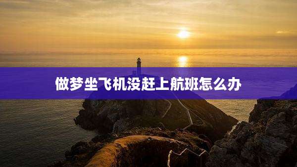 做梦坐飞机没赶上航班怎么办