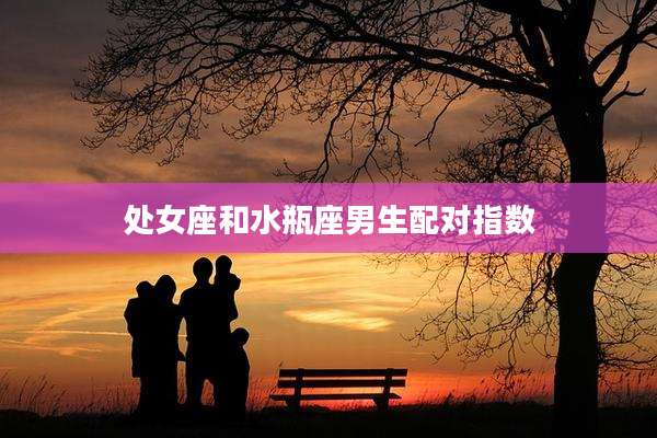 处女座和水瓶座男生配对指数
