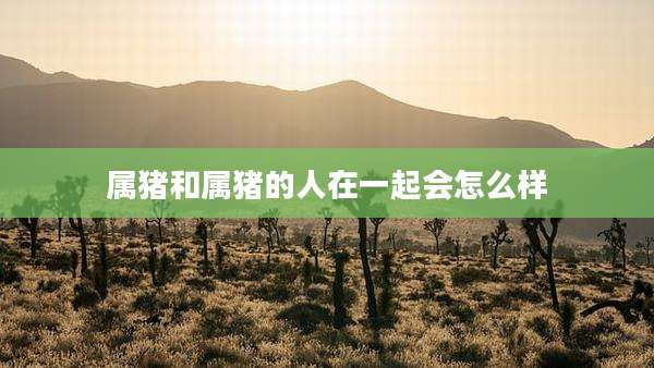 属猪和属猪的人在一起会怎么样