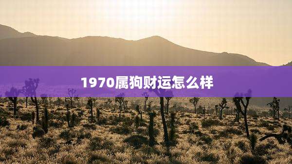 1970属狗财运怎么样