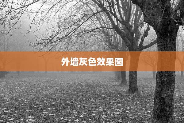 外墙灰色效果图