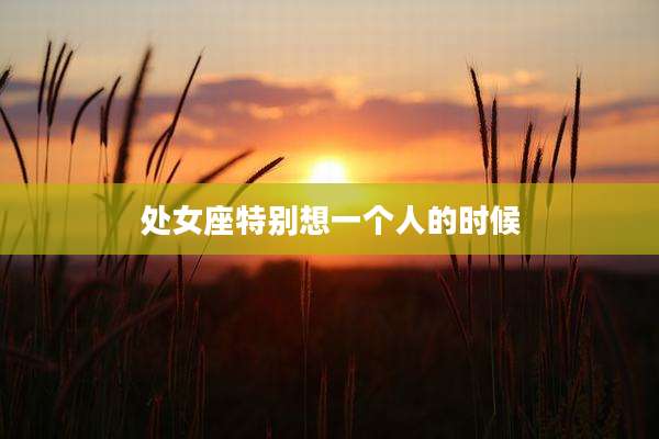 处女座特别想一个人的时候