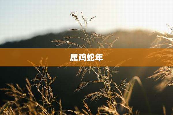 属鸡蛇年