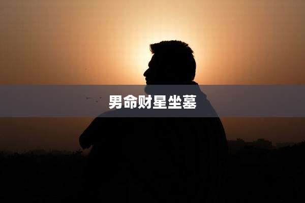 男命财星坐墓