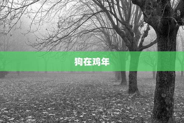 狗在鸡年