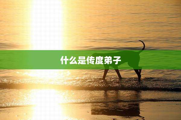 什么是传度弟子