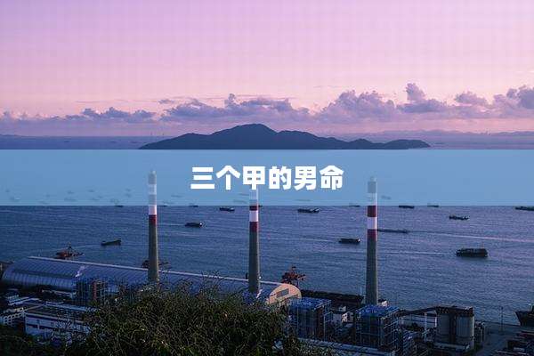 三个甲的男命
