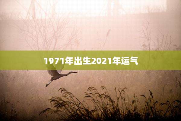 1971年出生2021年运气