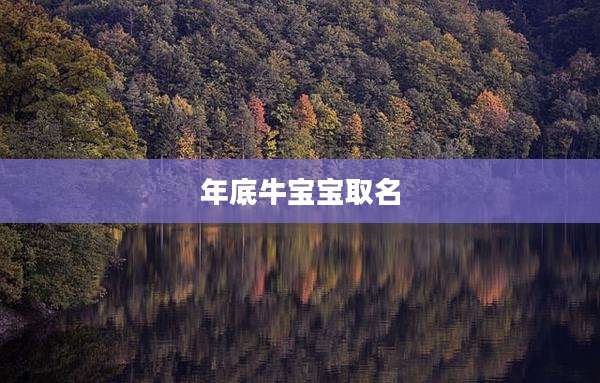 年底牛宝宝取名