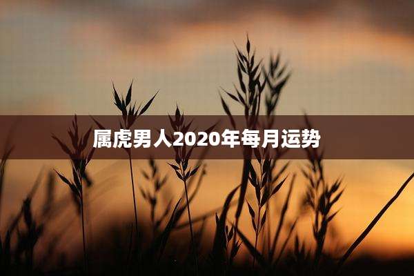 属虎男人2020年每月运势