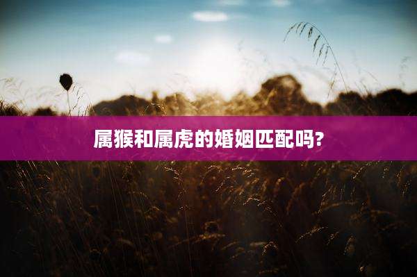 属猴和属虎的婚姻匹配吗?