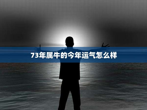 73年属牛的今年运气怎么样