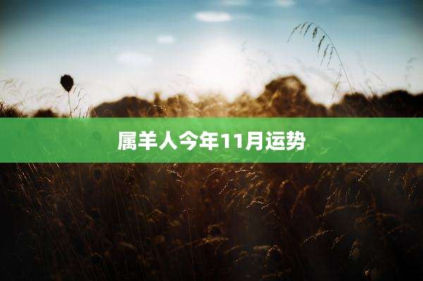 属羊人今年11月运势