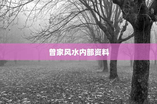 曾家风水内部资料