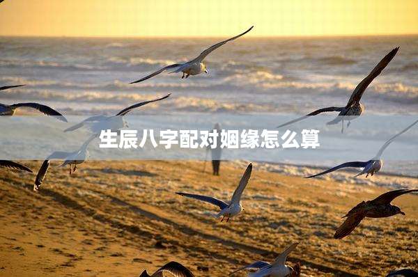 生辰八字配对姻缘怎么算