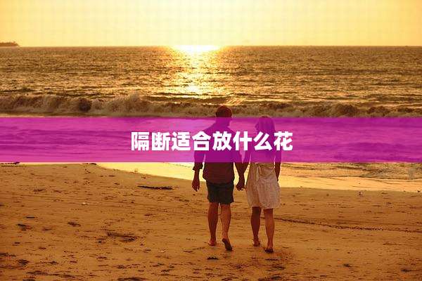 隔断适合放什么花