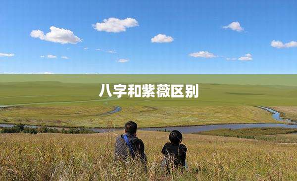 八字和紫薇区别