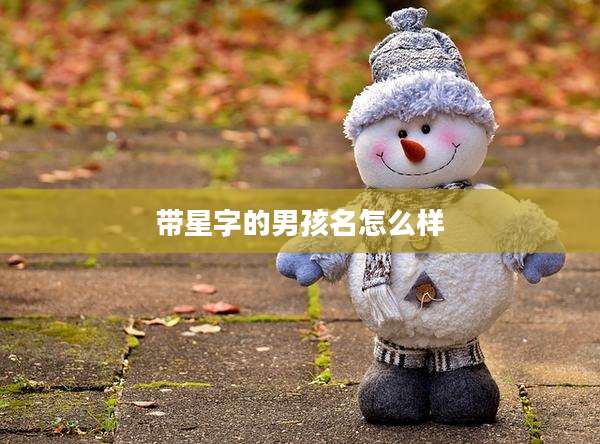 带星字的男孩名怎么样