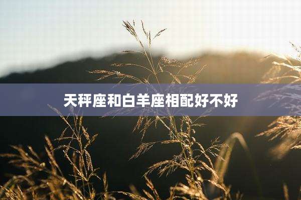 天秤座和白羊座相配好不好