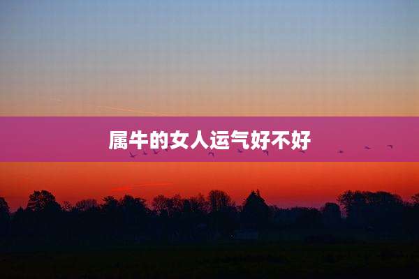 属牛的女人运气好不好