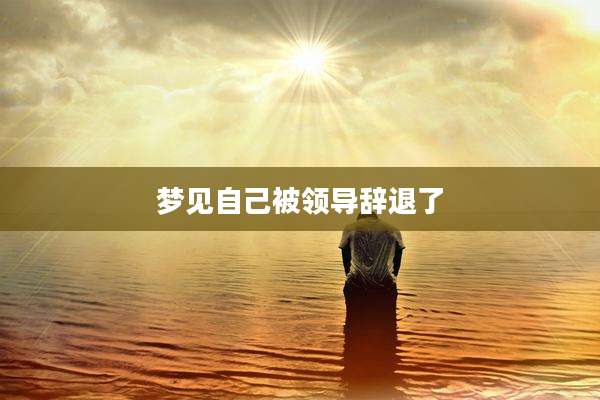 梦见自己被领导辞退了