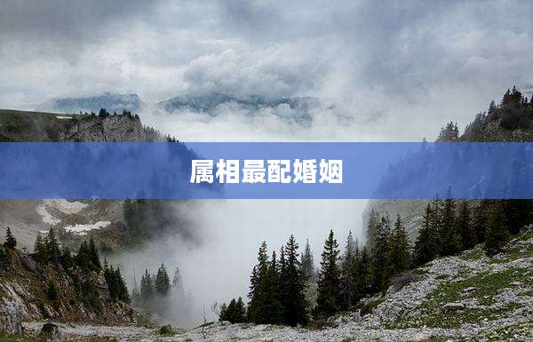 属相最配婚姻