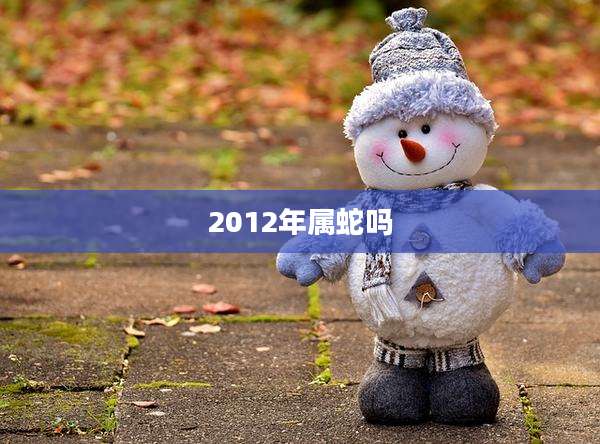 2012年属蛇吗