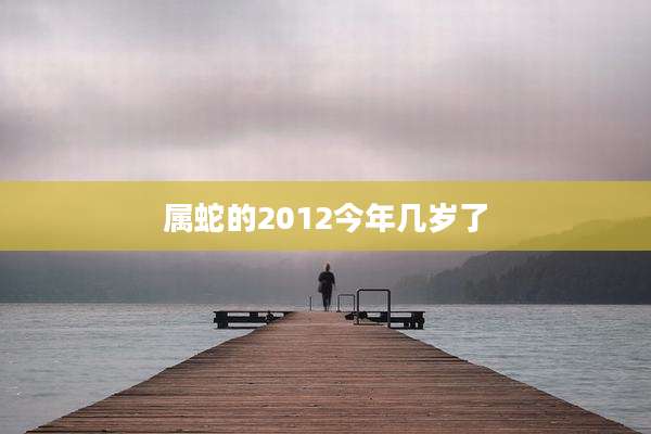 属蛇的2012今年几岁了