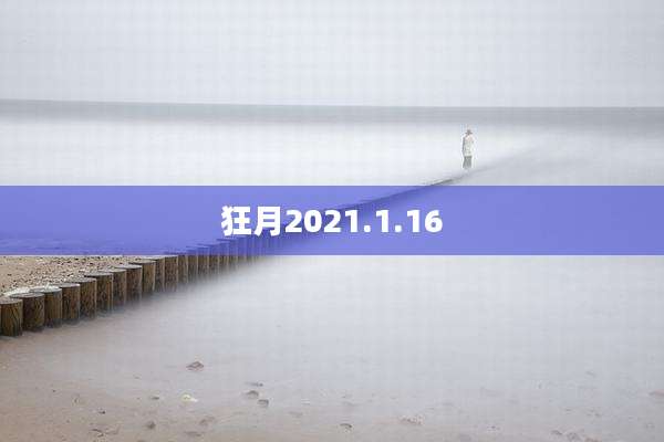 狂月2021.1.16