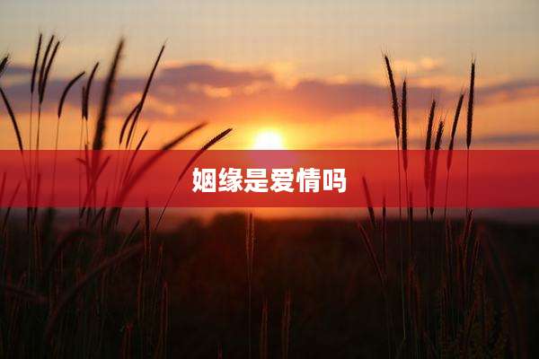 姻缘是爱情吗