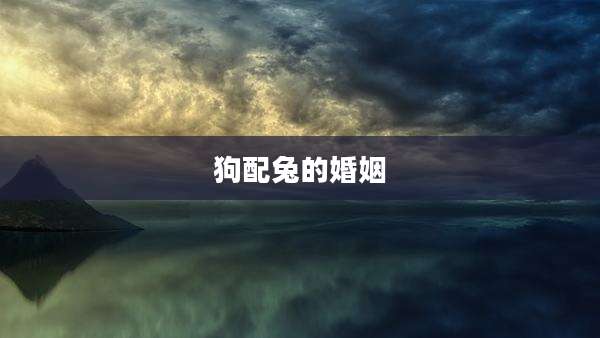 狗配兔的婚姻