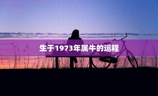 生于1973年属牛的运程