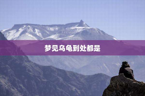 梦见乌龟到处都是
