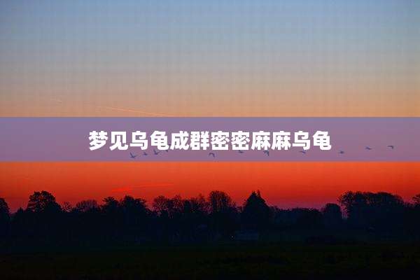 梦见乌龟成群密密麻麻乌龟