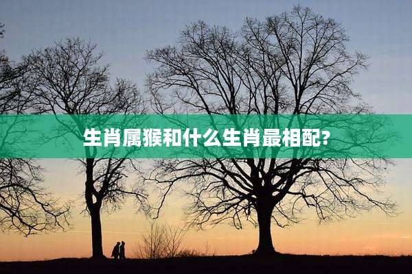 生肖属猴和什么生肖最相配?