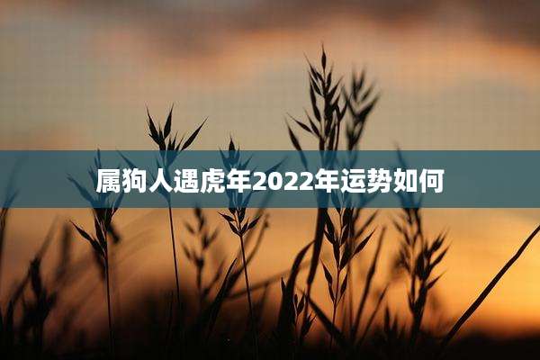 属狗人遇虎年2022年运势如何
