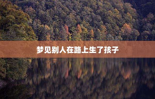梦见别人在路上生了孩子