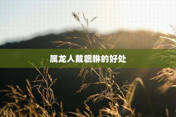 属龙人戴貔貅的好处