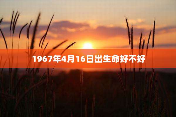 1967年4月16日出生命好不好