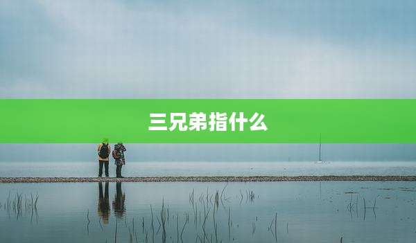 三兄弟指什么