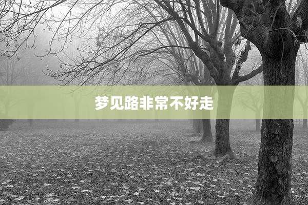 梦见路非常不好走