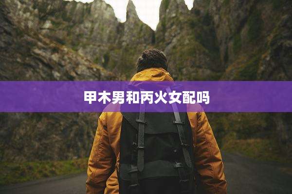 甲木男和丙火女配吗