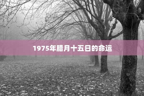 1975年腊月十五日的命运