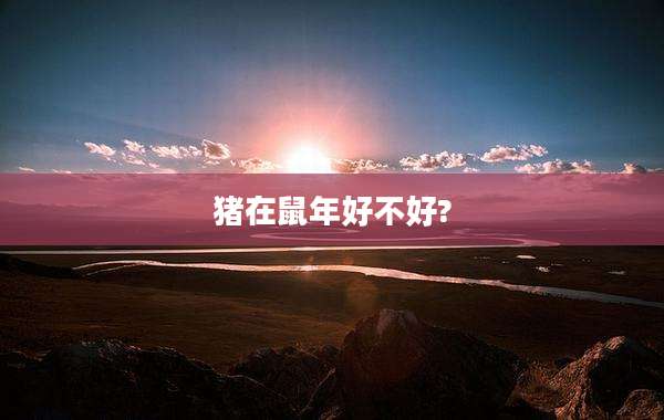 猪在鼠年好不好?