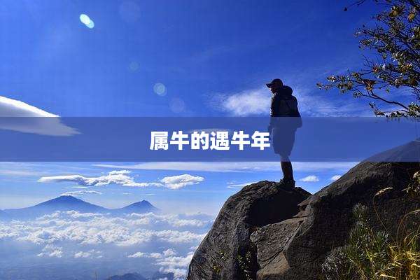 属牛的遇牛年