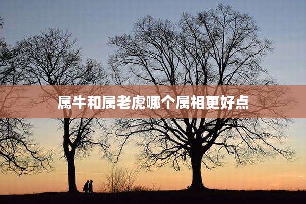 属牛和属老虎哪个属相更好点