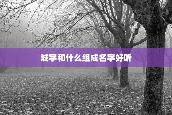 城字和什么组成名字好听